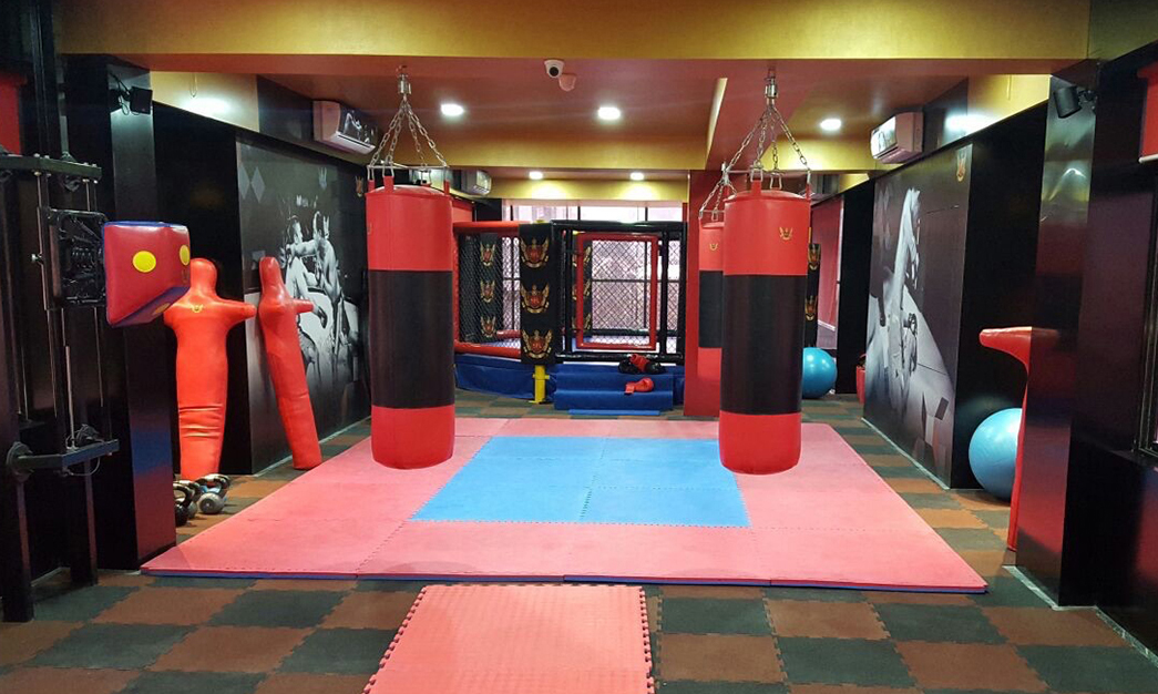 TechFit - MixedMartialArts