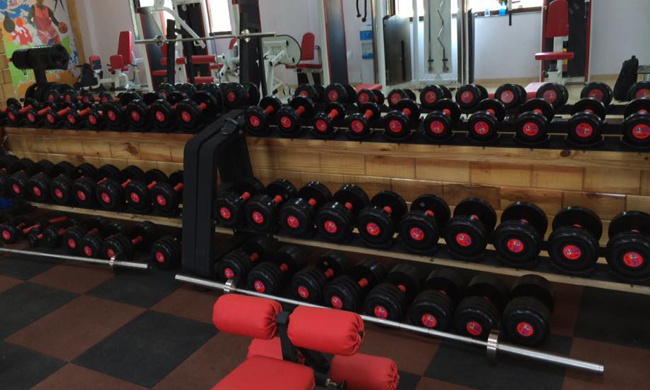 TechFit - Gym Equipments